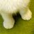Kittens 301 thumbnail