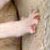 Kittens 208 thumbnail