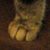 Kittens 206 thumbnail