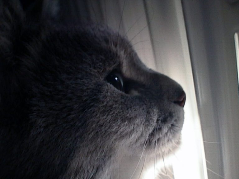 Smoggy looking angelic looking angelic